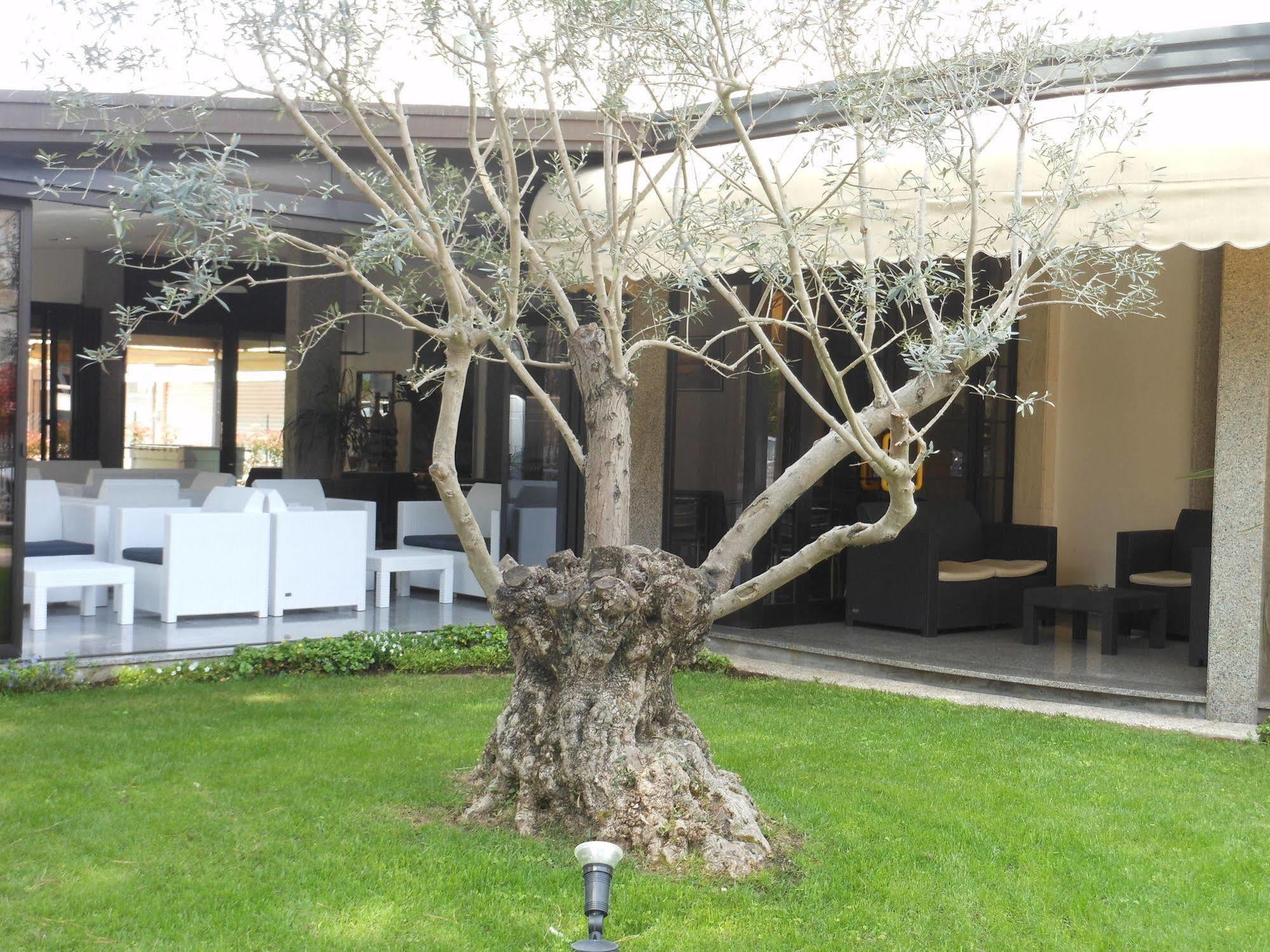 Hotel Jesolo Sand Dış mekan fotoğraf